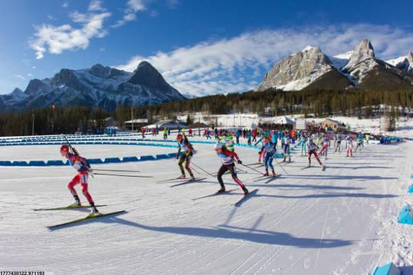 体育培训教练提成方案设计实例(图1)