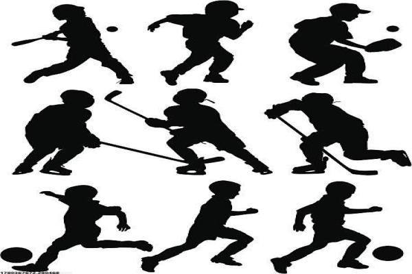 小学体育个人培训记录的标准范本(图1)