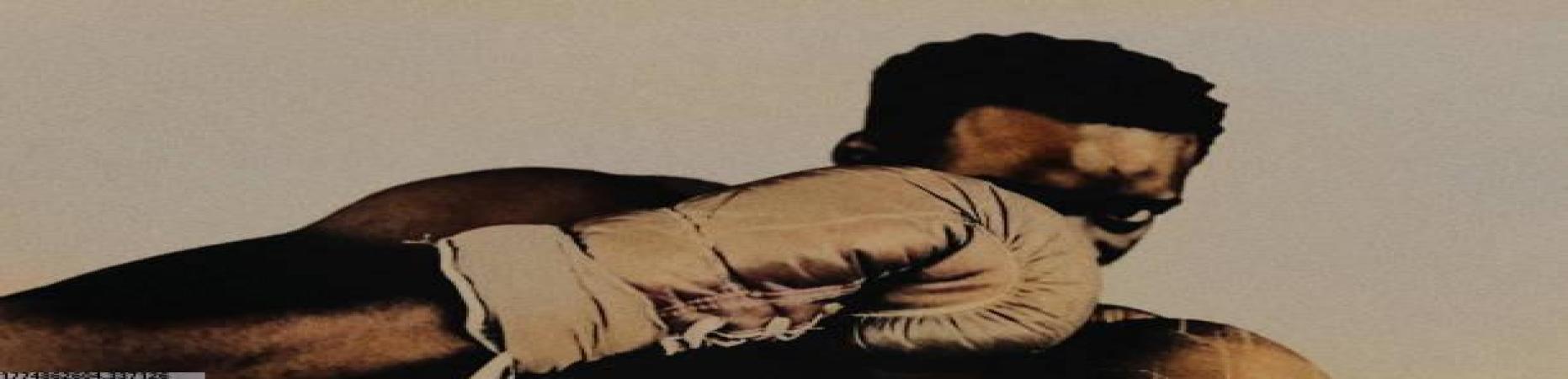 世界杯球迷最新入口球队战术分析图